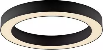 Paul Neuhaus Pure-Lines