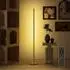 HomCom LED-Stehlampe dimmbar, einstellbare Farbtemperatur (B31-609V90SR)