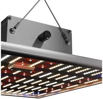 Caluma Force 150W LED Vollspektrum (GFD-510894)