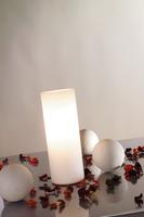 Paulmann Tischleuchte "Table&Desk Noora max.1x42W E14 Opal 230V Glas" E14 1 Stk. test