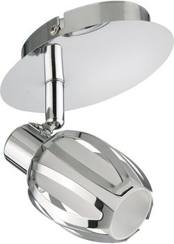 Briloner Mio (2910-018)