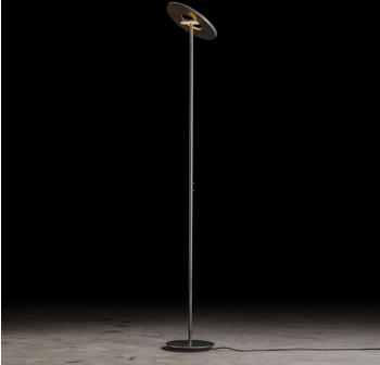 Holtkötter Nova LED Deckenfluter Eloxal Messing (9906-2-19)