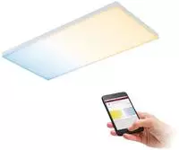 Paulmann LED-PANEEL Wei&szlig; 29.5x5x59.5 cm