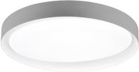 REALITY Leuchten LED Deckenleuchte "Zeta" LED-Modul Farbwechsler