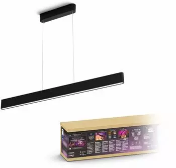 Philips Hue White & Color Ambience Ensis schwarz (929003052501)