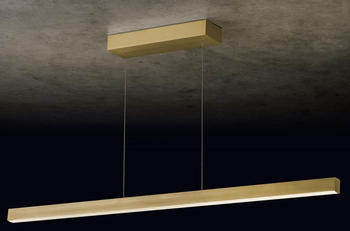 Holtkötter Xena S LED Eloxal Messing (2312-3-19)