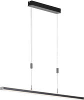FISCHER & HONSEL LED Pendelleuchte "Vitan" LED-Board Neutralwei&szlig; Tageslichtwei&szlig; 