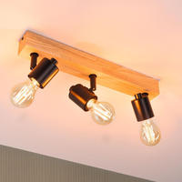 Paulmann Deckenstrahler "Arvid" E27 1 Stk. E27