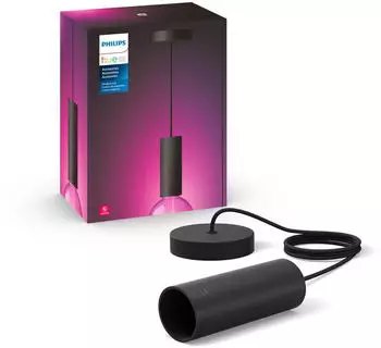 Philips Philips Hue Pendelleuchte Lightguide schwarz E27