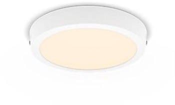 Philips LED Spot Magneos Surface Mount Rund weiß 12W/1200lm