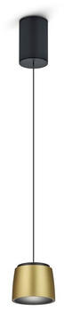 Helestra LED Pendelleuchte Ove in Gold und Schwarz 16W 1130lm