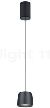 Helestra LED Pendelleuchte Ove in Schwarz 16W 1130lm