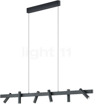 Helestra LED Pendelleuchte Coni in Schwarz-matt 6x 7W 3480lm