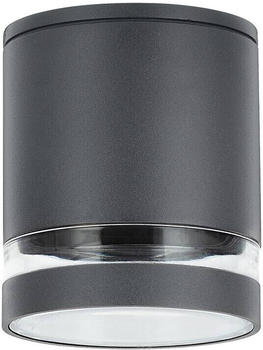 Rabalux Deckenleuchte ZOMBOR anthrazit transparent 1x max.35W IP65 L:12cm Ø10.2cm