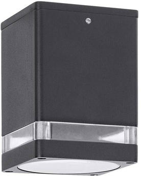 Rabalux Deckenleuchte ZOMBOR anthrazit transparent 1x max.35W IP65 L:12cm B:9cm H:9cm