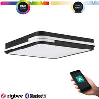 GENOVESE-Z ceiling lamp 470x470 mm black