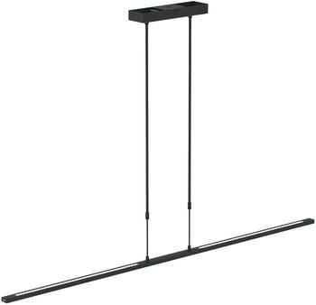 Steinhauer LED Pendelleuchte Zelena in Schwarz und Weiß 21W 3700lm schwarz
