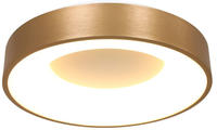 Steinhauer Deckenleuchte 1-fl. "Ringlede" 2562GO Gold