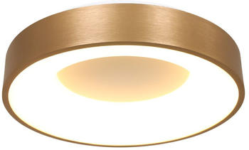 Steinhauer LED Deckenleuchte Ringlede in Gold und Weiß 30W 2800lm gold / messing