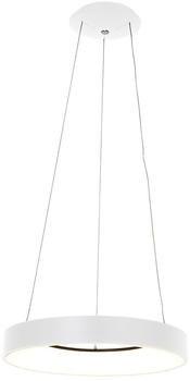 Steinhauer LED Pendelleuchte Ringlede in Weiß 40W 3600lm weiß