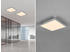 Trio LED Deckenleuchte GAMMA Titan Panel mit Nachtlicht eckig 45x45cm