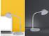 Trio LED Schreibtischleuchte BERRY flexibel, Kunststoff Weiß, 33cm hoch