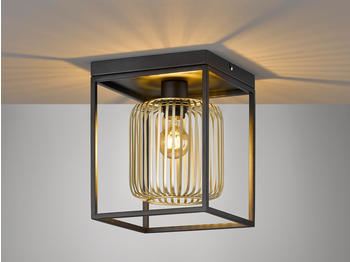 Fischer & Honsel Deckenlampe Schwarz Gold 23x23cm