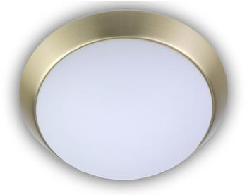 Niermann LED Kellerleuchte Treppenhaus Beleuchtung Opalglas matt Ø 35cm LED  Garagenlampe Test TOP Angebote ab 152,00 € (Oktober 2023)