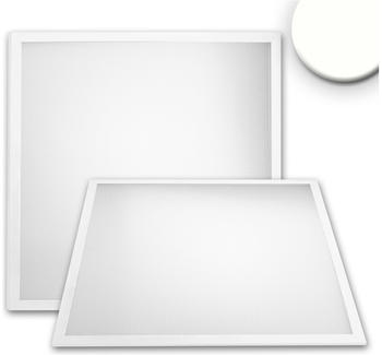 ISOLED LED Panel Professional Line 600 UGR<19 8H, 36W, Rahmen weiß, neutralweiß weiß