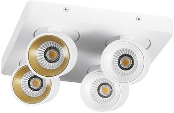 mylight LED Spot Landau in Weiß 4-flammig weiß