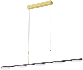 Bankamp Luce Elevata Pure Up LED-Pendelleuchte 5-flammig