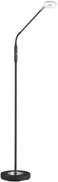 Fischer & Honsel LED Standlampe DENT Schwarz 150cm