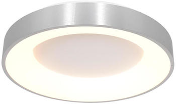 Steinhauer LED Deckenleuchte Ringlede in Silber und Weiß 30W 2800lm silber