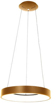 Steinhauer LED Pendelleuchte Ringlede in Gold und Weiß 40W 3600lm gold / messing