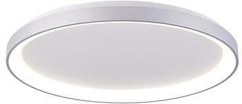 Deko-Light LED Deckenleuchte Merope 800 in Silber 60W 4900lm silber