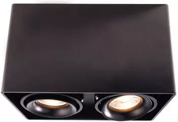Deko-Light Dekorative Deckenaufbauleuchte Mona II aus Aluminium Druckguss in schwarz, zweiflammig schwarz