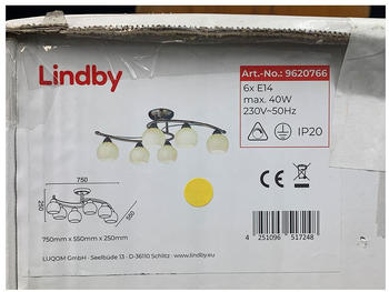 Lindby H&auml;ngeleuchte an Stange SVEAN 6xE14/40W/230V