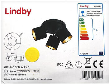 Lindby Lindby -Aufbauleuchte VASILIA 3xE14/28W/230V