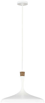 Elstead Lighting Darwin Hängeleuchte E27 Mattes Weiß