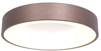 Steinhauer LED Deckenleuchte Ringlede in Bronze und Weiß 40W 3600lm 480mm braun