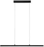 Paulmann 79885, Paulmann Lento 79885 LED-Pendelleuchte LED 40.5W Schwarz (matt)