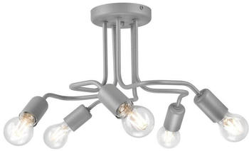 Bioledex Deckenlampe im Industrie-Design 5x E27 silber Metall