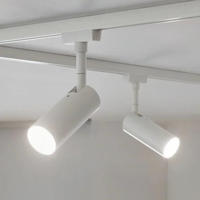 Paulmann Schienensystem-Leuchten "URail Spot Tubo 1x4W 3000K 230V" LED-Modul 1 Stk.