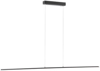Pure LED-H&auml;ngeleuchte 160cm anthrazit