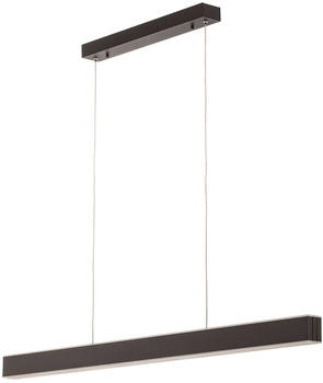 Pure Lume LED-Pendelleuchte, anthrazit