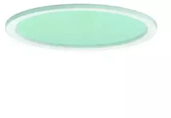 Ridi Microprismenscheibe DR235-MPS-G-D-W (0204885)