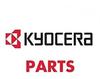 Kyocera 302MY93055, Kyocera DV 896K - Schwarz - original - Entwickler-Kit