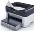 Kyocera FS-1061DN
