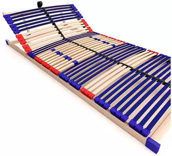 Schlummerparadies Vario Sleep Best 42 110x190cm