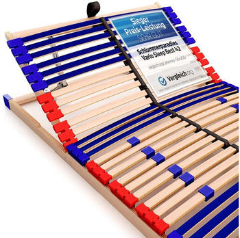 Schlummerparadies Vario Sleep Best 42 70x200cm